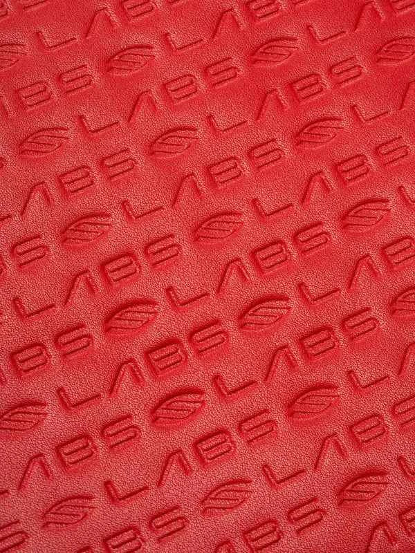 Selkirk LABS Red Paddle Collectors Case
